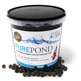 Evolution Aqua Pure Pond 1000 ML - pour 20000 litres - bactéries et enzymes - pour Filtre Eau Filtration Entretien Bassin Aquari
