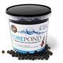 Evolution Aqua Pure Pond 1000 ML - pour 20000 litres - bactéries et enzymes - pour Filtre Eau Filtration Entretien Bassin Aquari