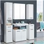 trendteam smart living 1116-501-01 Skin Placard Murale de Salle de Bain Blanc Ultrabrillant LxHxP 30x77x23 cm