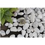 Gartenwelt Riegelsberger Gravier de jardin naturel - 25 kg - Grain de Carrara - 15-25 mm - Gravier décoratif - Pierres