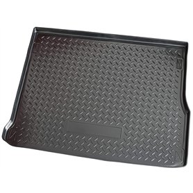 Recambo Bac de Coffre pour Renault Scenic III