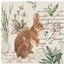 Lot de 20 serviettes en papier avec motif lapin sur écriture - Style vintage - Idéales pour le découpage et la technique des ser