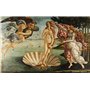 VON LILIENFELD Étui Lunettes Botticelli : La naissance de Vénus Chiffon de Nettoyage Boîte Robuste Cadeau Étui Lunettes de Solei