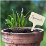 Pancarte en bois pour l'étiquetage des plantes: box de 60 étiquettes en bois avec stylo - Ardoise en bois pour jardin, plante et