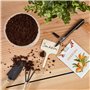 Pancarte en bois pour l'étiquetage des plantes: box de 60 étiquettes en bois avec stylo - Ardoise en bois pour jardin, plante et