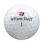Easy Lakeballs 100 Wilson Mix BALLES DE Golf RÉCUPÉRATION/Lake Balls - QUALITÉ AAA/AA (A/B Grade) - dans Sac en Filet