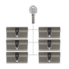 6 cylindres profilés de 60 mm 30/30 avec fonction de sécurité et de danger avec 30 clés.