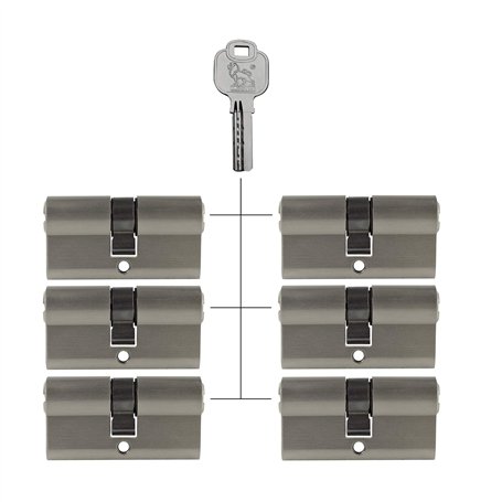 6 cylindres profilés de 60 mm 30/30 avec fonction de sécurité et de danger avec 30 clés.