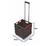 Spetebo Chariot de courses pliable en plastique avec roues - 35 l - Boîte de transport mobile avec poignée télescopique - Panier