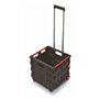 Spetebo Chariot de courses pliable en plastique avec roues - 35 l - Boîte de transport mobile avec poignée télescopique - Panier