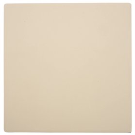 Pmkvgdy Pierre à pizza pour cuisson au four et barbecue Plaque de cuisson 305 x 305 x 10 mm