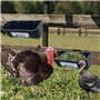 Sujurio 2 PCS Poulet Chèvre Accrocher Clôture Mangeoire Abreuvoir Noir pour Cerf Canard Chien et Porcelets, Oie Abreuvoir Trough