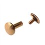 Melitt Lot de 10 rivets à vis en laiton 12 mm