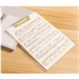 Evenden Lot de 2 porte-blocs transparents en acrylique avec clip doré - Format A4 - 8,8 x 12,2 cm - Fournitures scolaires et à d