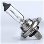 NONDK 4 Ampoules de de Voiture H7 12V / 55W Halogène Lampe Standard
