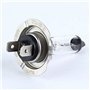 NONDK 4 Ampoules de de Voiture H7 12V / 55W Halogène Lampe Standard