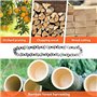 8 PièCes 4 Pouces Mini ChaîNe de TronçOnneuse en Acier Scie à éLaguer éLectrique Accessoire de Remplacement D'Outil de Jardin