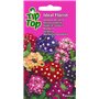 Collection de graines de fleurs inspirées de la RHS - 15 variétés de fleurs de jardin, polyvalentes et respectueuses des abeille