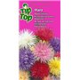 Collection de graines de fleurs inspirées de la RHS - 15 variétés de fleurs de jardin, polyvalentes et respectueuses des abeille
