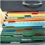 lehua 120 Ensembles D'Onglets de Document de Fichier Onglets de Dossier Suspendu de 2 Pouces et Inserts Multicolores pour une Id