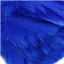 NONDK 1 Pc Plumeau De Dinde À La Mode avec Poignée en Plastique Noir Outil De Nettoyage (Bleu) 35Cm