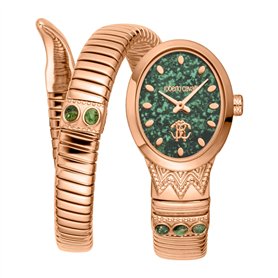 Roberto Cavalli Femmes Analogique Quartz Montre avec Bracelet en Acier Inoxydable RC5L104M0045