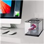 Hausdec Aquarium Facile à Changer en Acrylique Plastique Autonettoyant (Blanc)