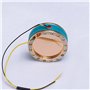 Wisyurt Capsule de Microphone à Condensateur D'Enregistrement de Noyau de Cartouche de Microphone de Diaphragme de 34Mm pour Le 