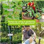 Qaautor 50PCS Arbre Étiquettes Double Face Identification Extérieure avec Fils Métalliques pour Marqueurs de Plantes, Étiquettes