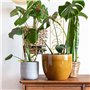 Sxdluzi Lot de 2 treillis en métal pour plantes d'intérieur Phase de la Lune (doré)