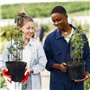 Sxdluzi Lot de 2 treillis en métal pour plantes d'intérieur Phase de la Lune (doré)