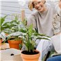 Sxdluzi Lot de 2 treillis en métal pour plantes d'intérieur Phase de la Lune (doré)