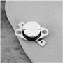 ECSiNG Lot de 2 interrupteurs de fin de course 37022 250 V 10 A 95° compatibles avec les fours Atwood RV 8500 Series 8531 8535 8