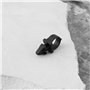 Briny River Lot de 10 Clips de Fixation pour Faisceau de Câbles de Tuyau Huile 70345-84 Compatible avec Harley-Davidson Les Moto