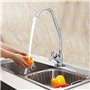 Col de Cygne Filtre à Eau - 1/4 '' En acier inoxydable Plaqué chrome Avec système de filtration à osmose inverse et col d'oie Co