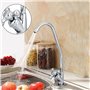Col de Cygne Filtre à Eau - 1/4 '' En acier inoxydable Plaqué chrome Avec système de filtration à osmose inverse et col d'oie Co