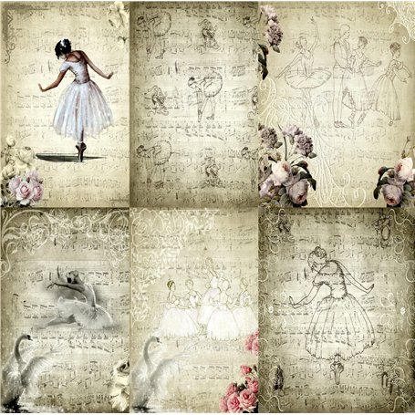 Papier de riz de mûrier de fond de ballet