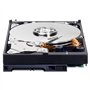 WD Blue WD10EZEX - 1TB 7200rpm 64MB 3.5zoll SATA600