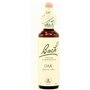 BACH OAK - Flacon en verre de 20 ml avec goutte-à-goutte
