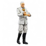 Indiana Jones Hasbro Indiana Jones et la dernière Croisade, Figurine Walter Donovan Adventure Series de 15 cm