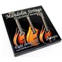 Adagio Pro Acoustic Lot de 2 cordes de mandoline acoustiques – Bronze phosphoreux (Standard Light, .010 - .034 avec jeu d'extrém