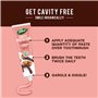 Dabur Dentifrice Biologique au Clou de Girofle 100 ml - Antibactérien, Renforce Gencives, Réduit Sensibilité, Anti-plaque, Rafra
