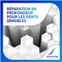 Protection Longue Durée Contre La Sensibilité Dentai