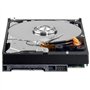 Western Digital Caviar Green 1TB 3.5" 1000 Go Série ATA III - Disques durs (3.5", 1000 Go, 7200 tr/min)