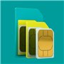 ee £15 Tout Lot Pay AS You Go Carte SIM – Standard, Micro Nano Inclus