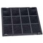 SPARES2GO Filtre à charbon actif pour hotte aspirante Hotpoint-Ariston (240 x 270 mm)