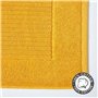 Couleur Jaune Ocre