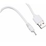 Panlouting 2 Pack | Câble de Charge USB 2.0mm pour Stylet Stylo Tablette pour Huion P80 / PE330 / PF150 Stylo Graphique Barret/G