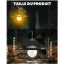 BrightArk Lampe de camping rechargeable, lampe de camping LED avec batterie 2600 mAh, étanche IPX4, 2 modes d'éclairage, lampe d