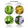 pet wiz Lingettes auriculaires pour chiens et chats Nettoyer, apaiser et désodoriser avec des ingrédients actifs naturels aloe v